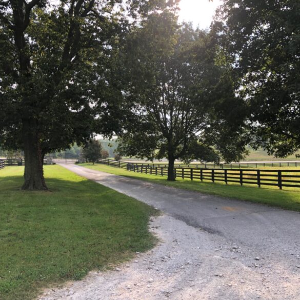 451882702-driveway 451882702-driveway
