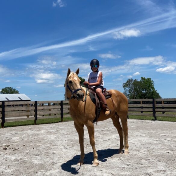 RideMajor RideMajor